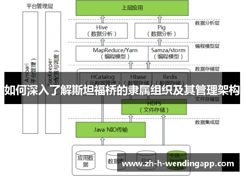 如何深入了解斯坦福桥的隶属组织及其管理架构