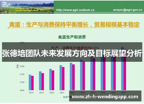张德培团队未来发展方向及目标展望分析
