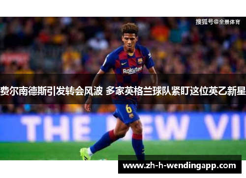 费尔南德斯引发转会风波 多家英格兰球队紧盯这位英乙新星